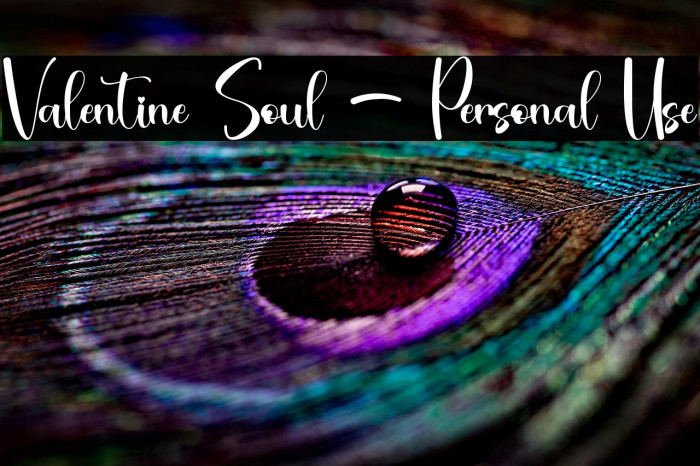 Valentine Soul - Personal Use Example 3