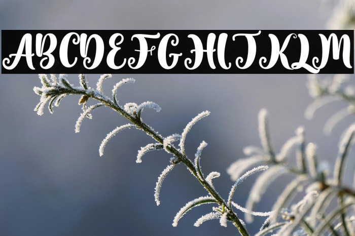 Valentine Soulmate Example 1