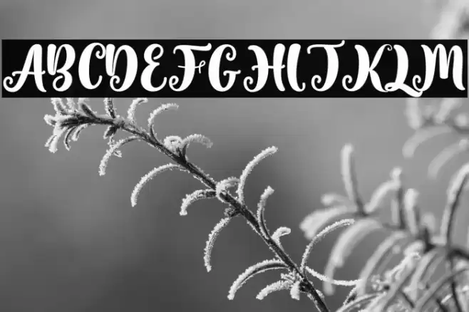 Valentine Soulmate Font examples