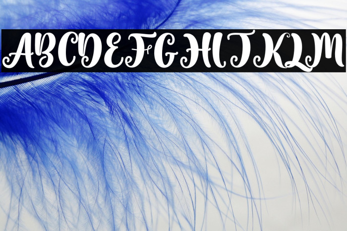 Valentine Soulmate Example 3