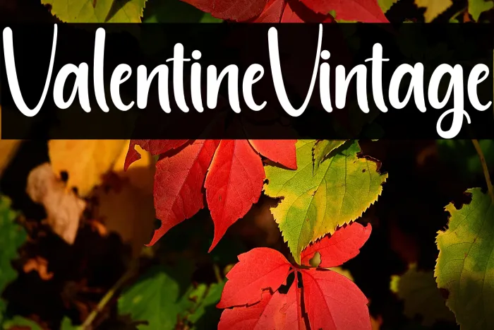 Valentine Vintage Example 2