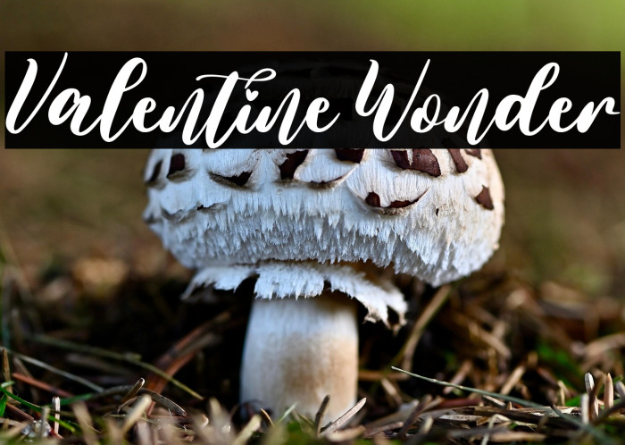 Valentine Wonder Example 3