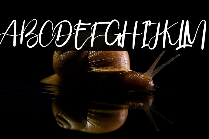 ValentineonFebruary Example 1