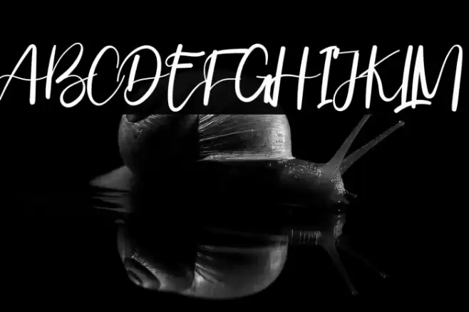 ValentineonFebruary Font examples