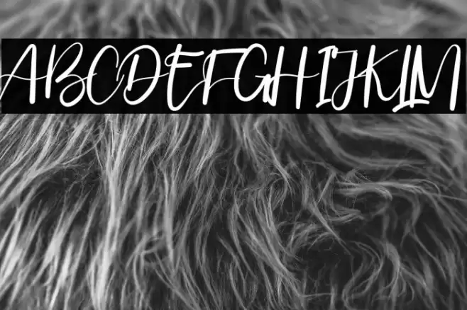 ValentineonFebruary Font examples