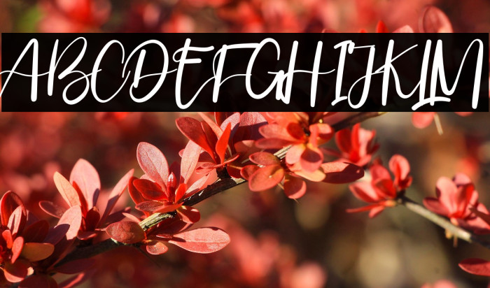 ValentineonFebruary Example 3