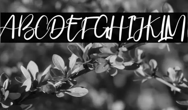 ValentineonFebruary Font examples