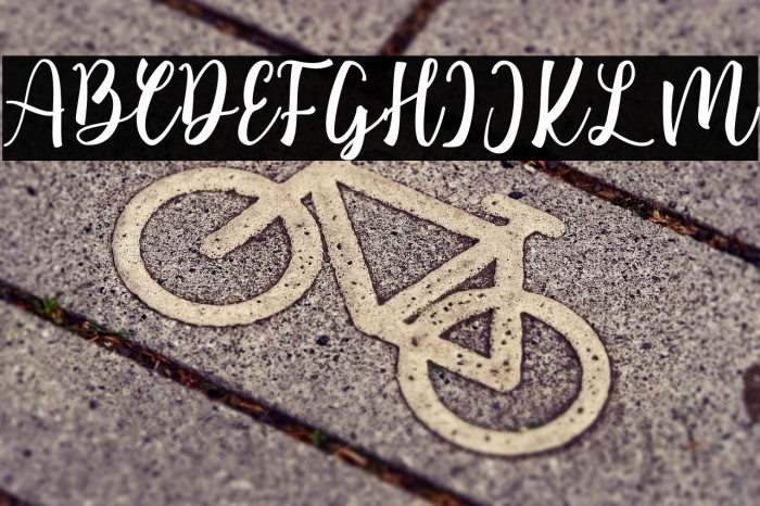 Valentinoa Example 3