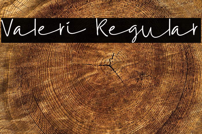 Valeri Regular Example 3