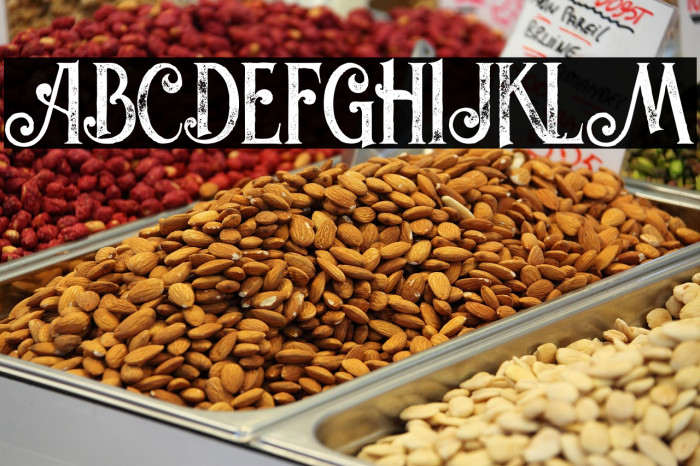 Valeria Bold Grunge Example 3