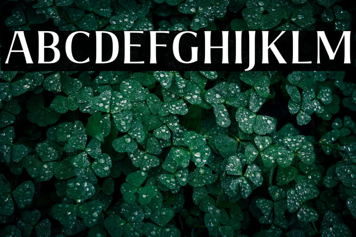 ValeriaMedium-Regular Example 2