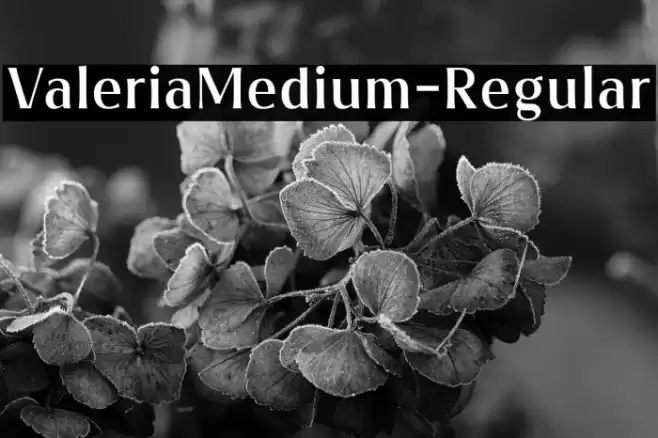 ValeriaMedium-Regular Font examples