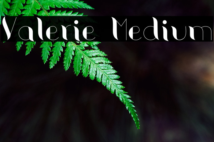 Valerie Medium Font examples