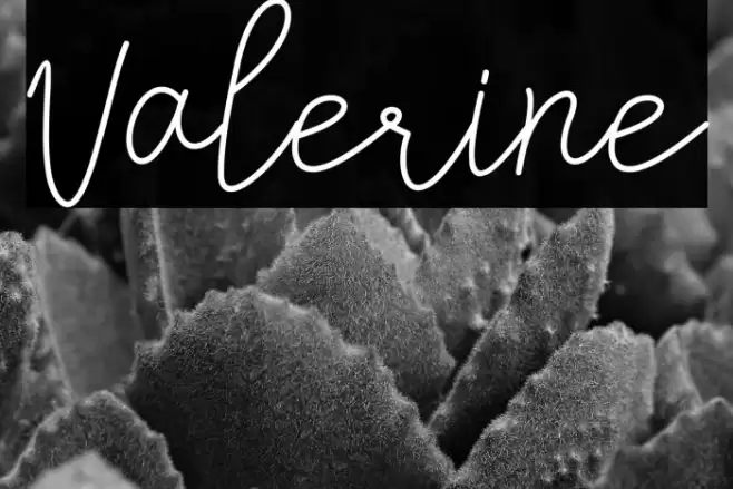 Valerine Font examples