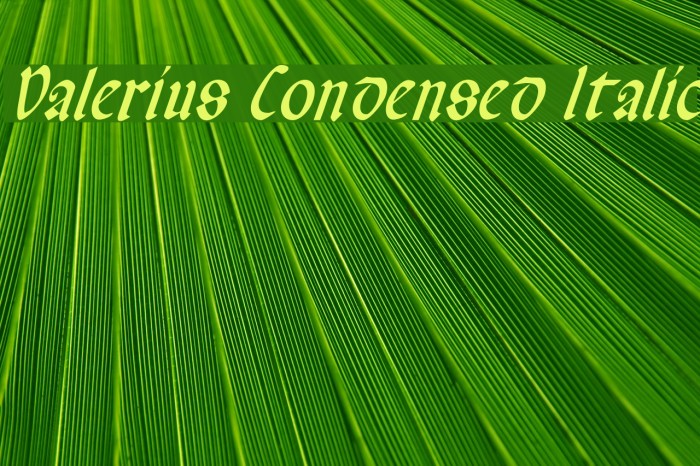 Valerius Condensed Italic Font examples