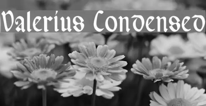 Valerius Condensed Font examples