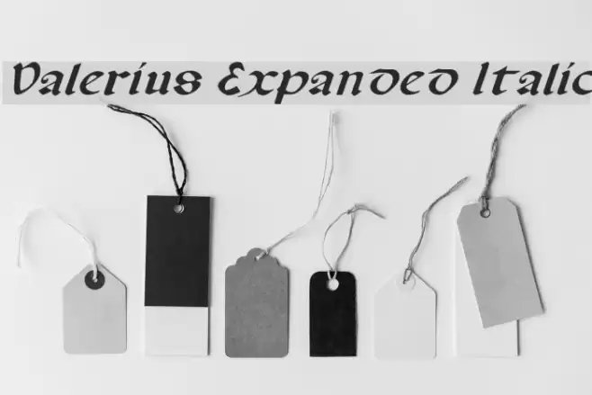 Valerius Expanded Italic Fonte examples