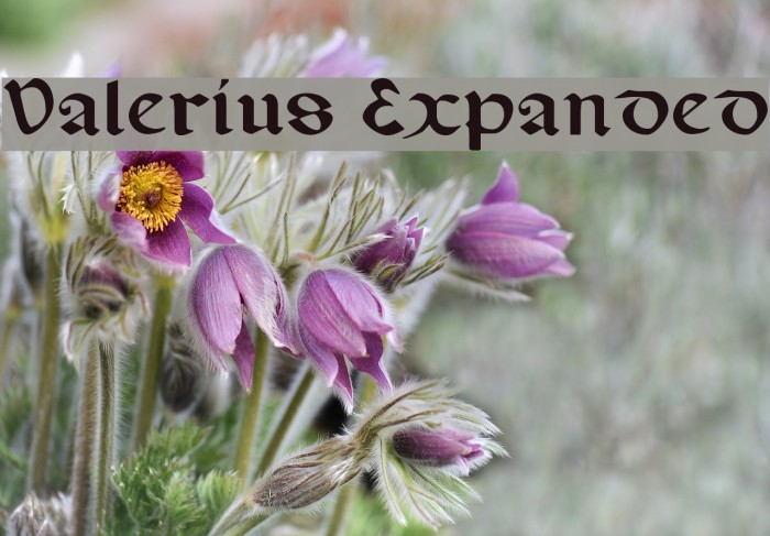 Valerius Expanded Font examples