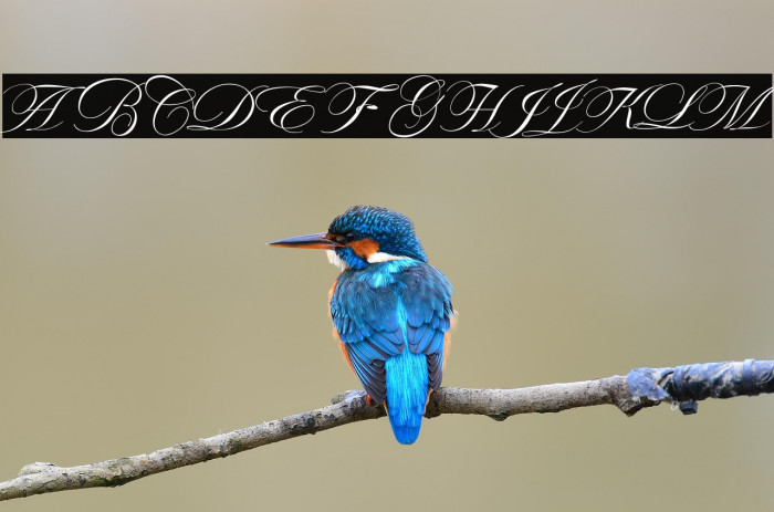 ValetiaScript Example 2