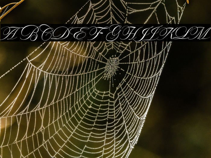 ValetiaScript Example 3