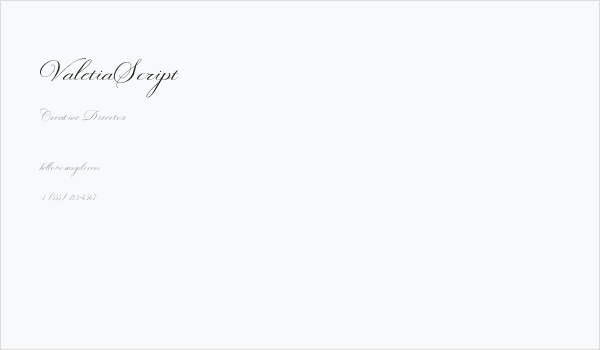 ValetiaScript Business Card