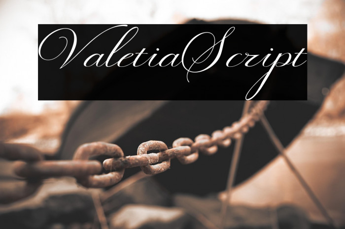 ValetiaScript Example 1