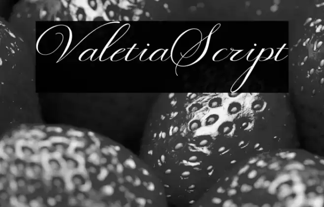 ValetiaScript Font examples