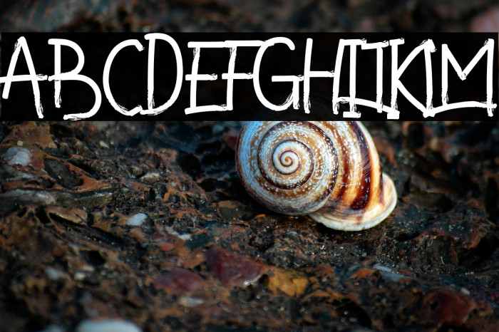 ValettaMan Example 3