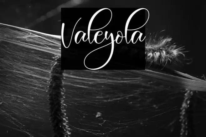 Valeyola Font examples