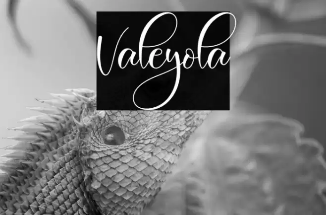 Valeyola Font examples