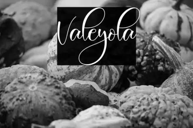 Valeyola Font examples