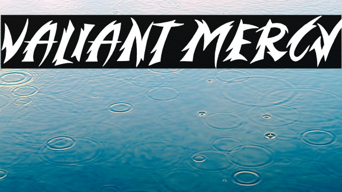 Valiant Mercy Example 2