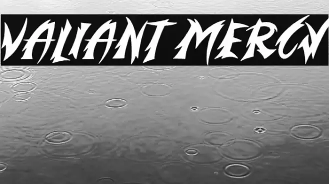 Valiant Mercy Polices examples