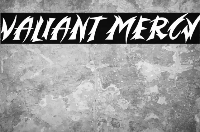 Valiant Mercy Polices examples