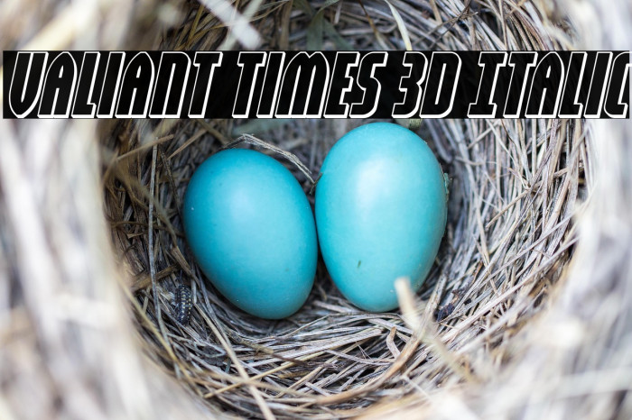 Valiant Times 3D Italic Example 3