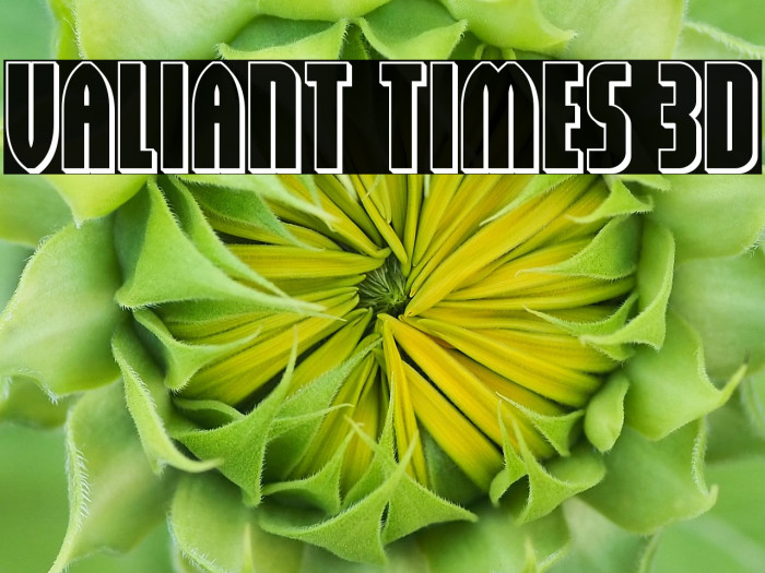 Valiant Times 3D Example 2