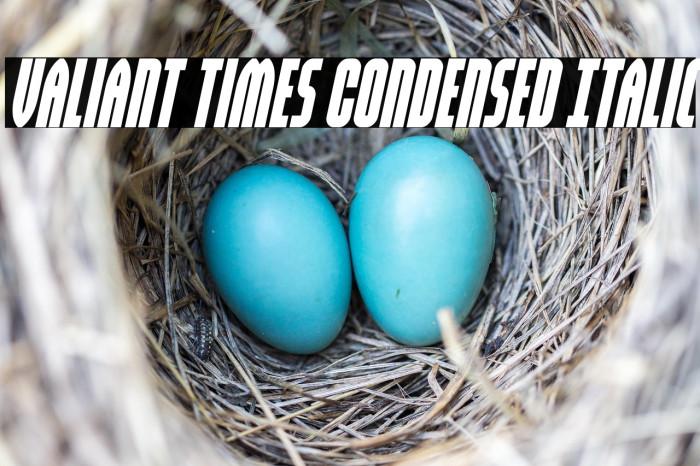 Valiant Times Condensed Italic Example 2