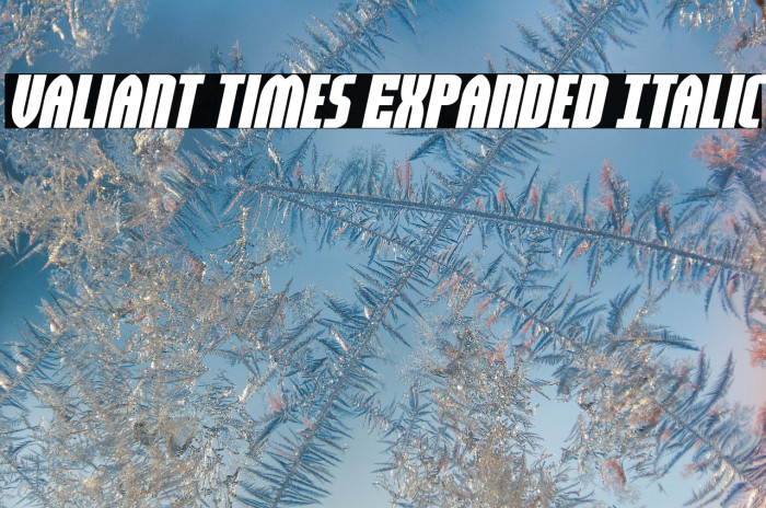 Valiant Times Expanded Italic Example 1