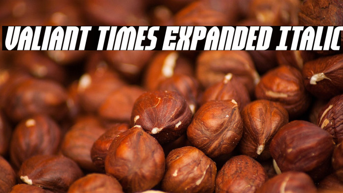 Valiant Times Expanded Italic Example 3