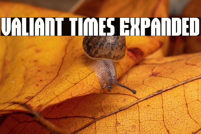 Valiant Times Expanded Example 1
