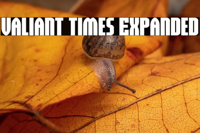 Valiant Times Expanded Example 1