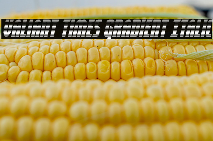 Valiant Times Gradient Italic Example 3