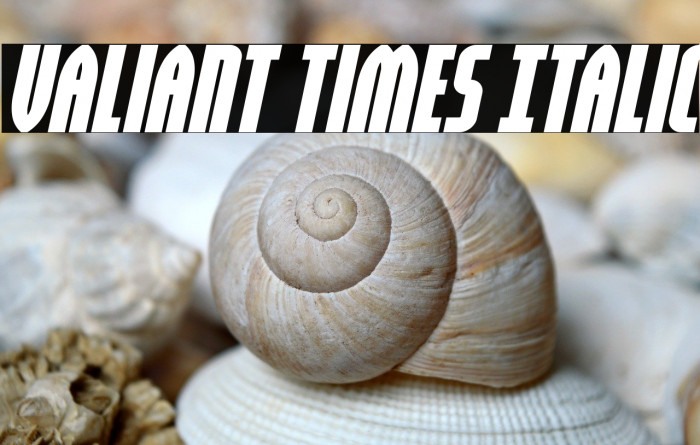Valiant Times Italic Example 3