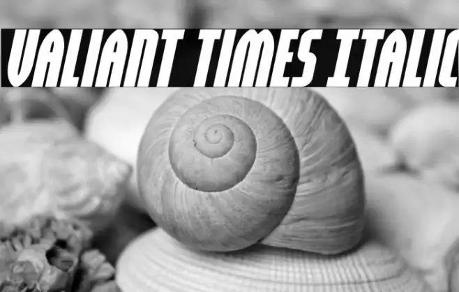 Valiant Times Italic Font examples