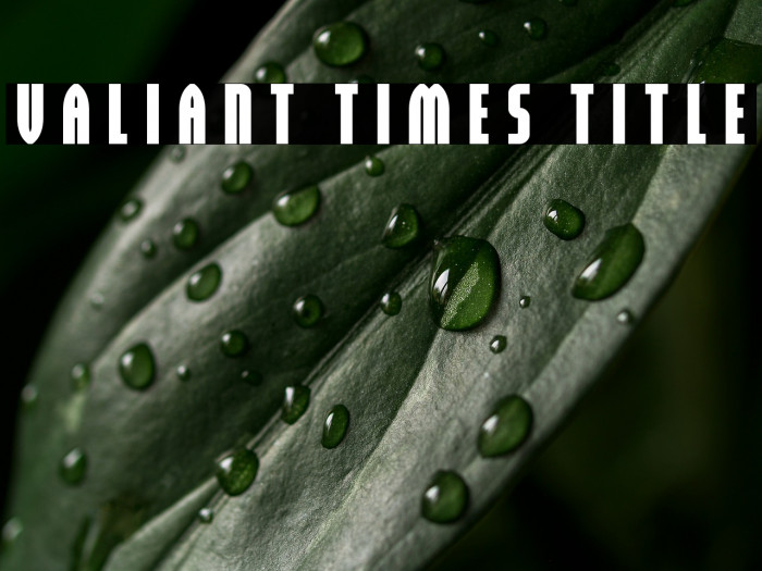 Valiant Times Title Example 1