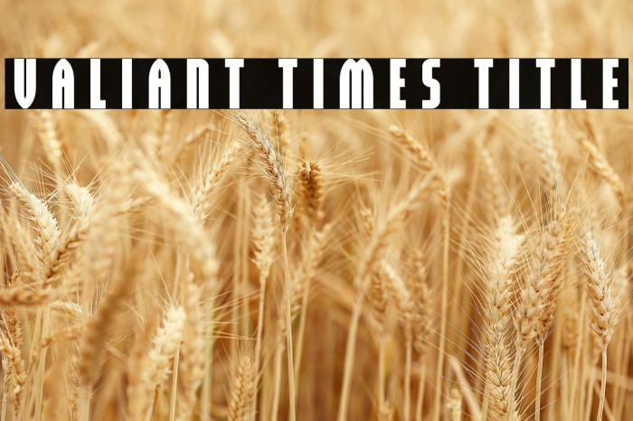 Valiant Times Title Example 3