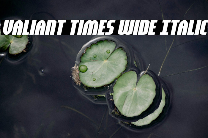 Valiant Times Wide Italic Example 1