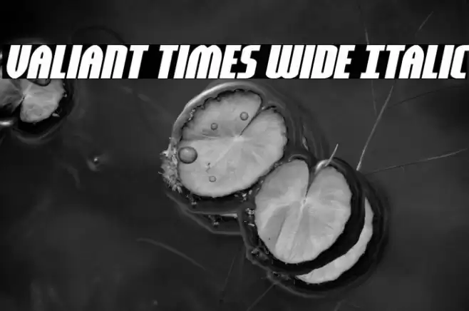Valiant Times Wide Italic Font examples
