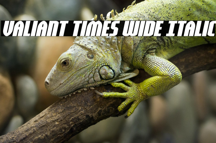 Valiant Times Wide Italic Example 2
