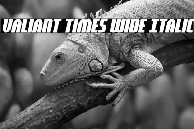 Valiant Times Wide Italic Font examples